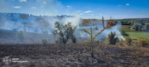 Пожежі охопили всі райони Черкащини: згоріло понад 12 гектарів сухої рослинності