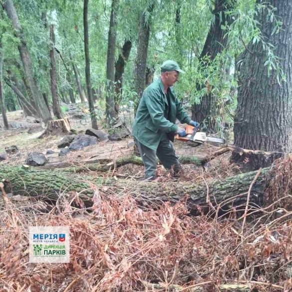 У Долині Троянд у Черкасах попадали дерева