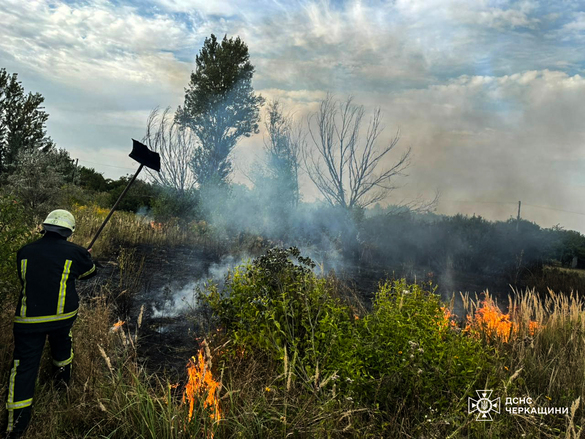 На Золотоніщині вигоріло 5 гектарів сухої рослинності (ФОТО)