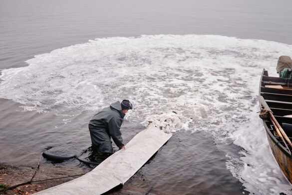 На Черкащині випустили у водосховище 9 тонн малька товстолоба