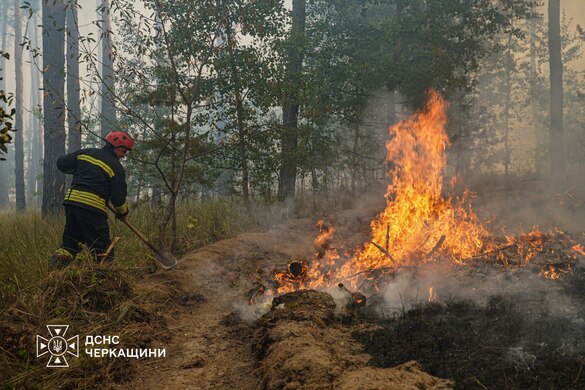 Задіяно 50 одиниць техніки та майже 200 людей: на Черкащині продовжують гасити масштабну пожежу