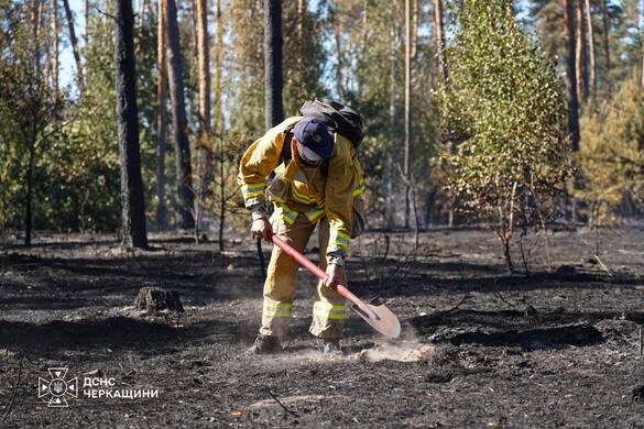 Пожежа в Кумейках охопила понад 200 гектарів