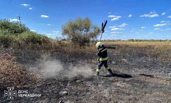 Пожежі охопили всі райони Черкащини: згоріло понад 12 гектарів сухої рослинності