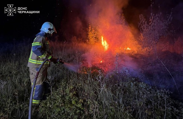 Пожежі охопили всі райони Черкащини: згоріло понад 12 гектарів сухої рослинності