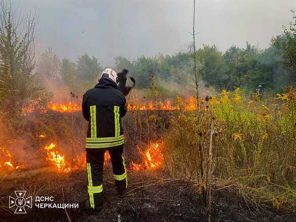 На Черкащині горіло 700 квадратних метрів сміття та гектар сухої трави (ФОТО)